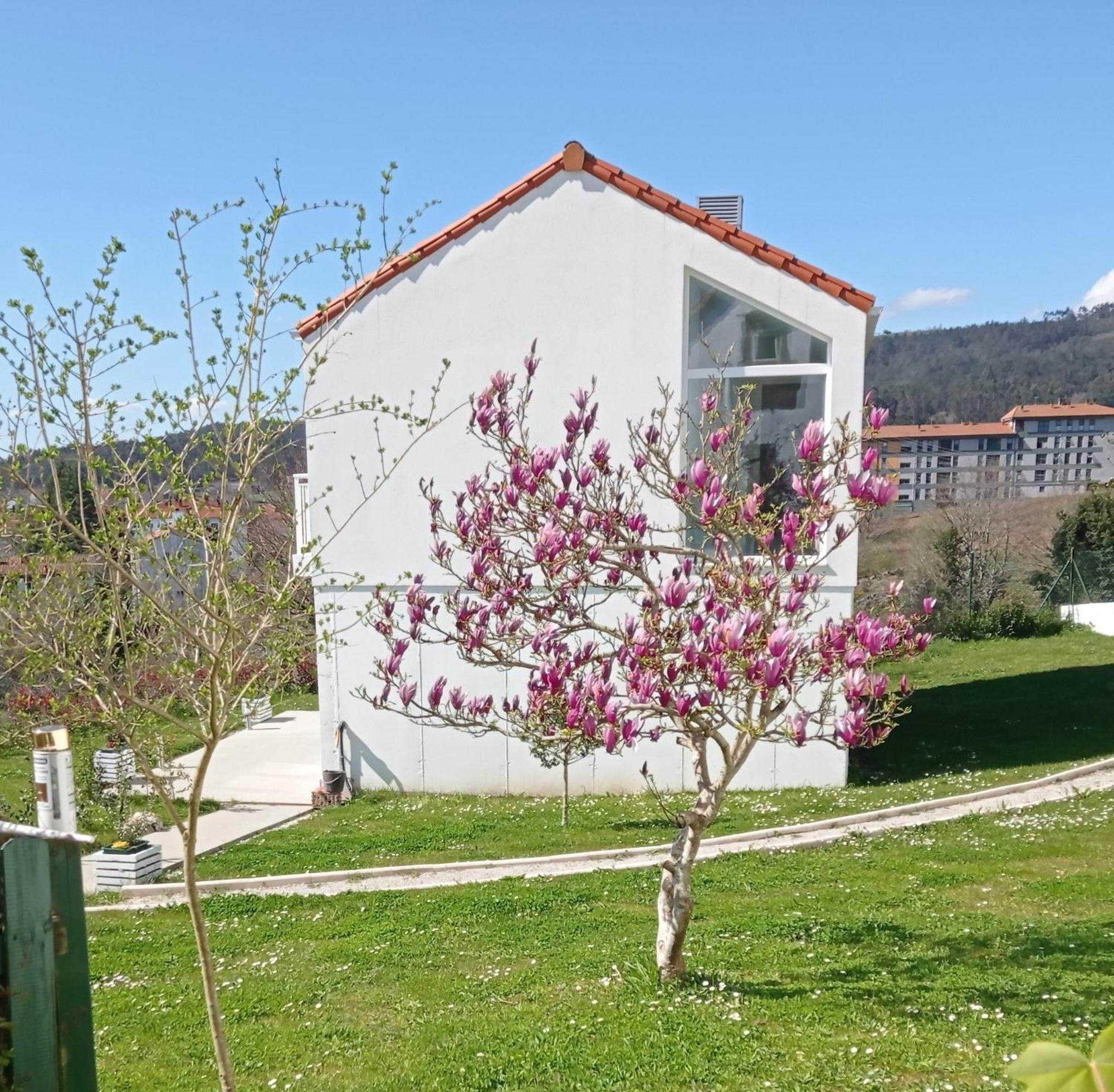 Casas Turisticas Lar Jardin - Parking Privado Сантьяго-де-Компостела Екстер'єр фото