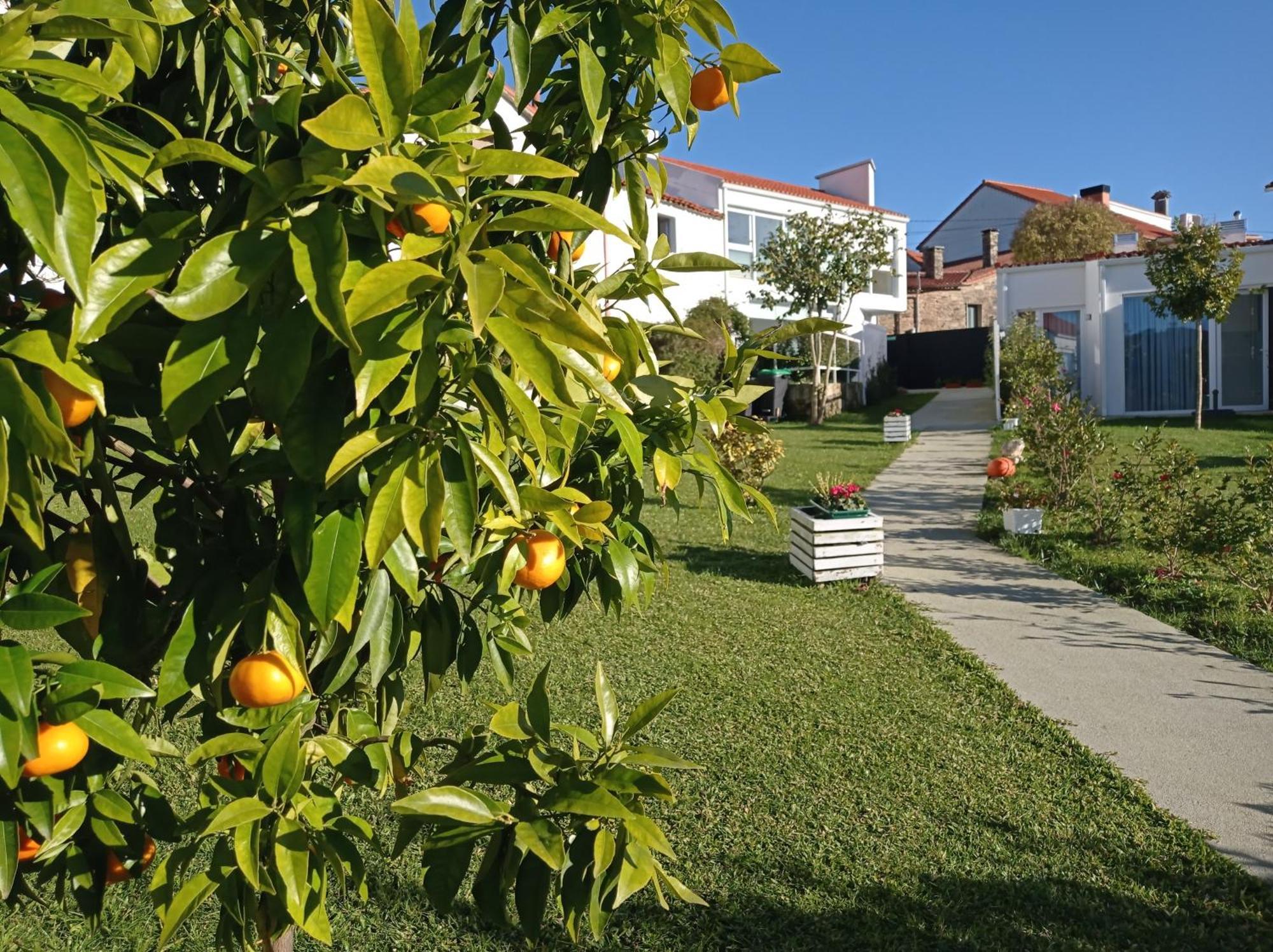 Casas Turisticas Lar Jardin - Parking Privado Сантьяго-де-Компостела Екстер'єр фото